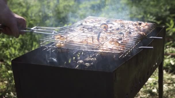 Shish Kebab en parrilla de barbacoa — Vídeo de stock