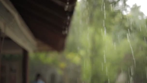 Tropical rain in maldives — Stock Video