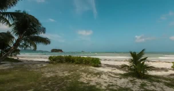 在热带岛屿的游戏中时光倒流 — 图库视频影像