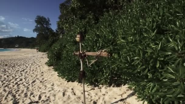 Praia das Seychelles com vista azul para o oceano — Vídeo de Stock