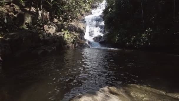 Paysage de jungle avec cascade 