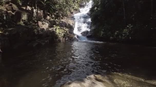 Jungle landschap met waterval — Stockvideo