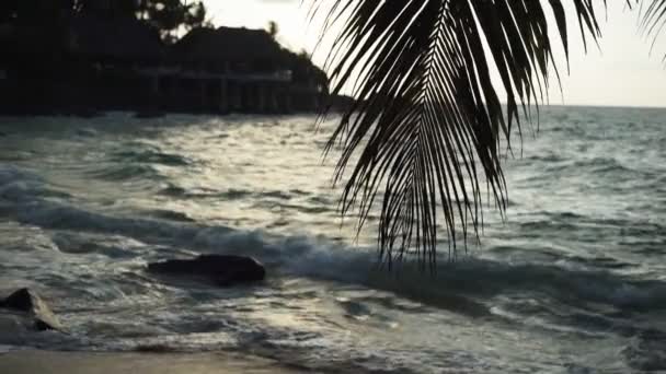 Seyşeller plaj mavi okyanus manzaralı — Stok video