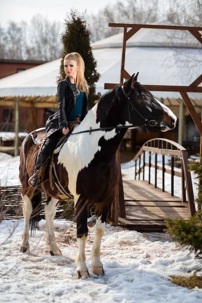 Kahverengi at üstünde genç genç kız gider
