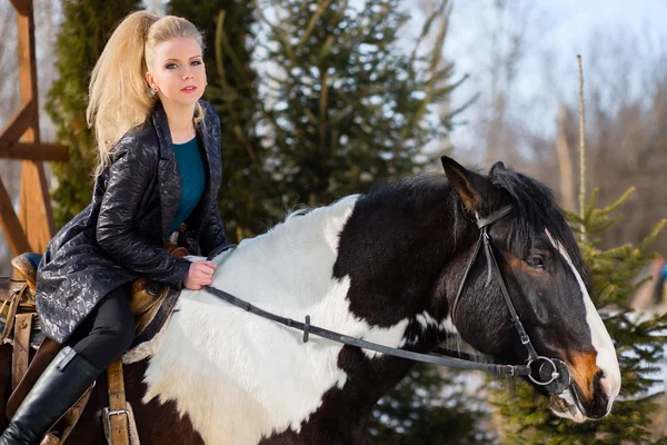 Kahverengi at üstünde genç genç kız gider