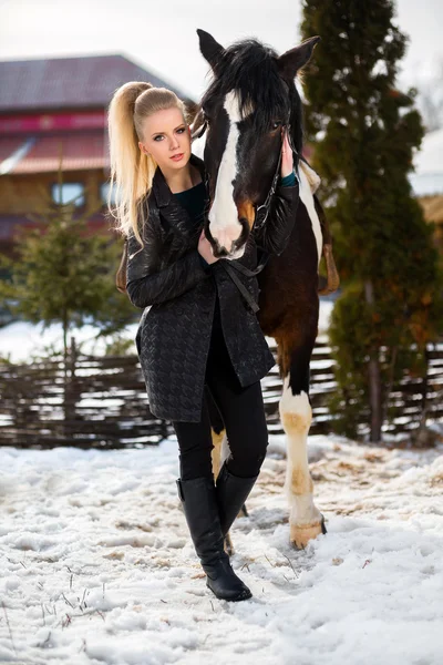 Kahverengi at üstünde genç genç kız gider