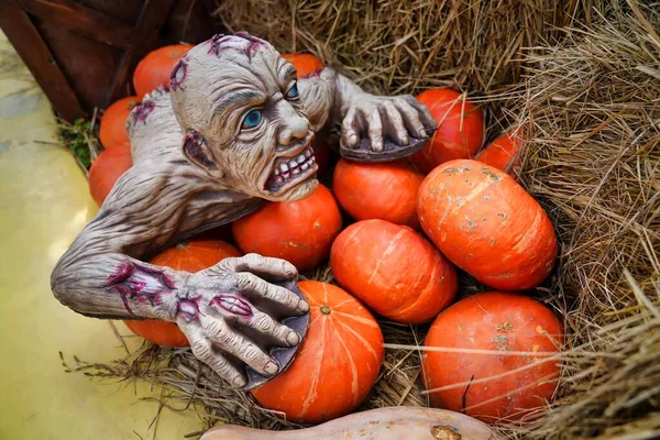 Manequim Dos Mortos Vivos Deitado Abóboras Para Halloween — Fotografia de Stock