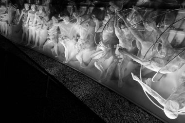 Galitskogo Park, Krasnodar 'da plastik ağ 