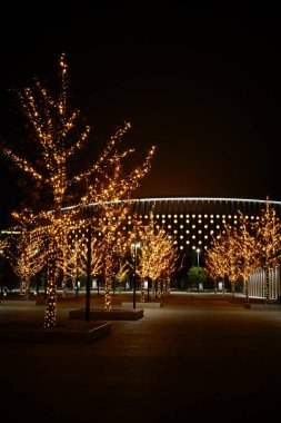 Krasnodar 'daki gece parkı Galitskogo