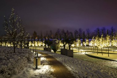 Gece Kar Parkı. Galitskogo Parkı. Krasnodar