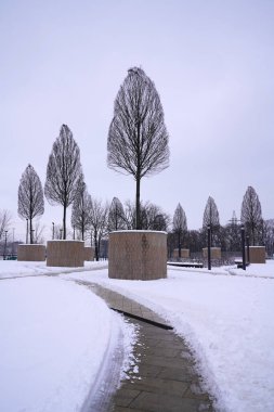 Krasnodar kış parkında çıplak ağaçlar  