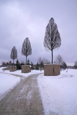 Krasnodar kış parkında çıplak ağaçlar  