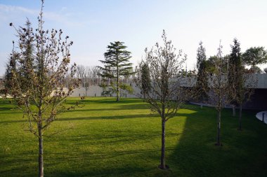 Krasnodar parkı. Galitskogo Parkı