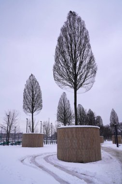 Krasnodar kış parkında çıplak ağaçlar  