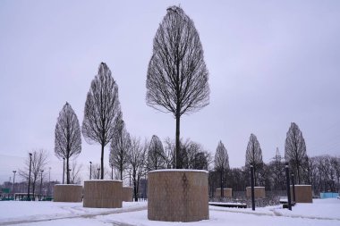 Krasnodar kış parkında çıplak ağaçlar  