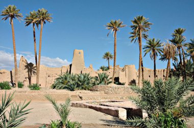 Figuig Fas 'ın Palmiye Bahçesi