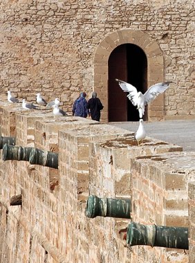 Essaouira Fas, Fas 'ın Atlantik kıyısında (Portekiz skala) bir liman ve turizm şehri.)
