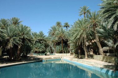 Tafilalt, Fas 'ın güneydoğusunda tarihi bir bölge.