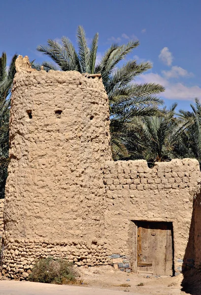 Пальмовий Гай Фігейґа Марокко — стокове фото