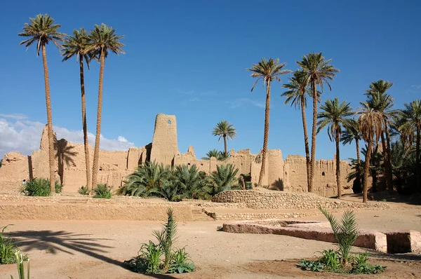 Palm Grove Του Figuig Στο Μαρόκο — Φωτογραφία Αρχείου