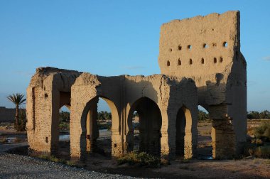 Fas 'ın güneydoğusundaki Tafilalet' te Palm Grove.