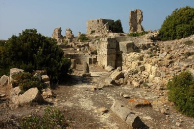 Fas 'taki Lixus arkeolojik alanı