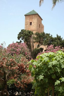 Rabat, Fas 'taki Oudayas Bahçeleri