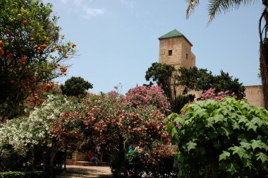 Rabat, Fas 'taki Oudayas Bahçeleri