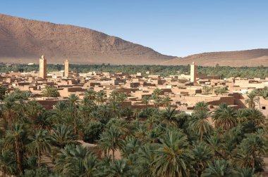 Fas 'taki Figuig Palmiyesi