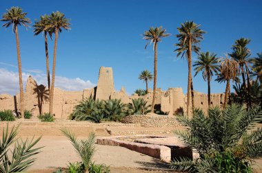 Fas 'taki Figuig Palmiyesi