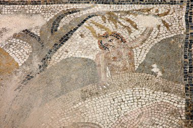 Fas 'taki Volubilis Arkeolojik Alanı