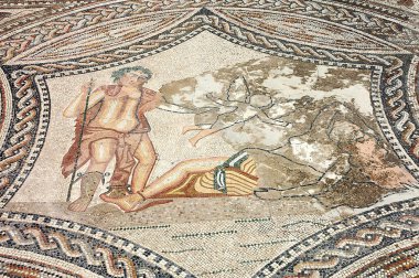 Fas 'taki Volubilis Arkeolojik Alanı