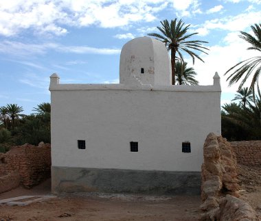 Fas 'taki Figuig Palmiyesi