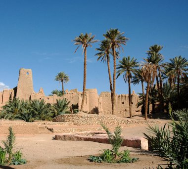 Fas 'taki Figuig Palmiyesi