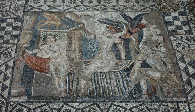 Fas 'taki Volubilis Arkeolojik Alanı