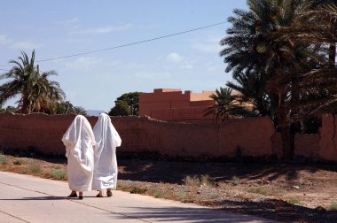 Fas 'taki Figuig Palmiyesi