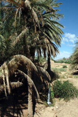 Fas 'taki Ouarzazate Kasbah' ın içinde.