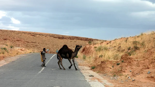 摩洛哥东南部的景观 — 图库照片