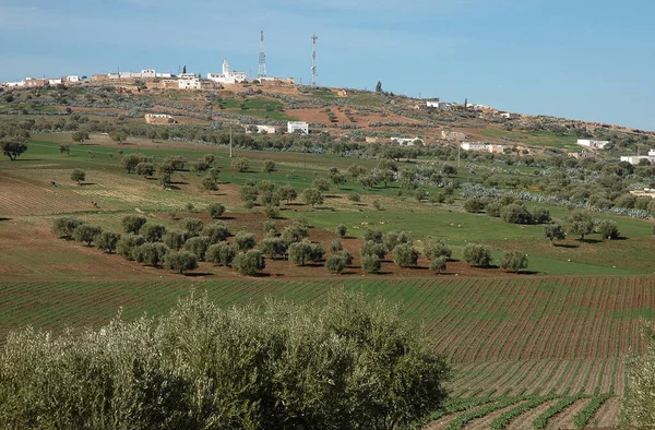 Beautiful Natural Landscape Morocco — Stock Photo, Image