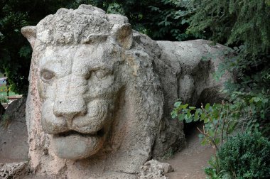 Ifrane, Fas 'ın küçük İsviçre' si.