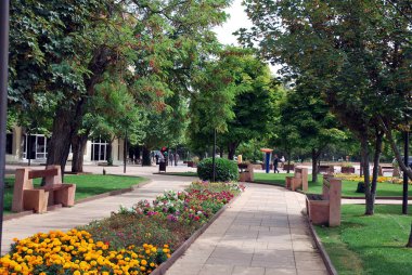 Ifrane, Fas 'ın küçük İsviçre' si.