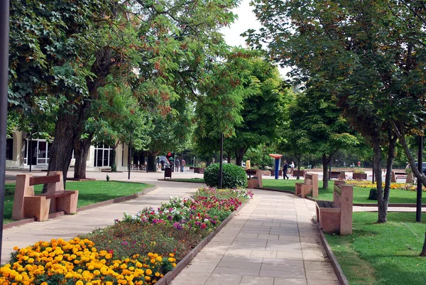 Ifrane, Fas 'ın küçük İsviçre' si.