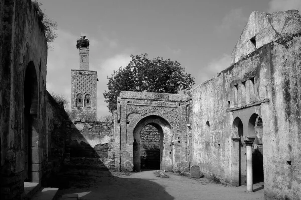 Kasbah Chellah Fas 'ta Rabat' ta siyah beyaz.