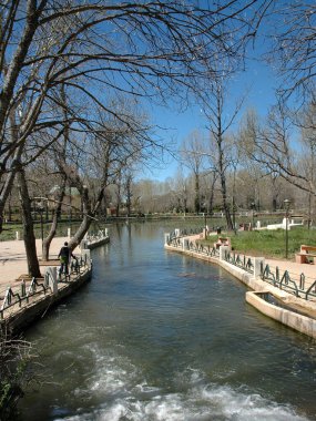 Ifrane, Fas 'ın küçük İsviçre' si.