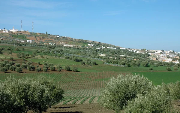 Beautiful Natural Landscape Morocco — Stock Photo, Image