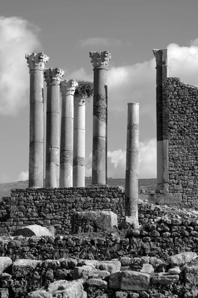 Volubilis Régészeti Lelőhelye Marokkóban Fekete Fehérben — Stock Fotó