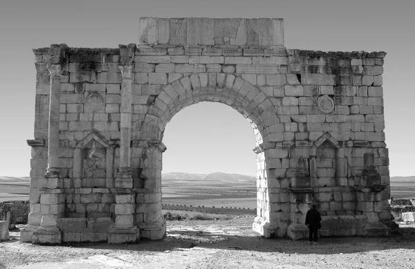 Archeologické Naleziště Volubilis Maroku Černobílé — Stock fotografie