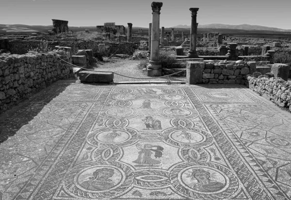 Arkeologiska Fyndplatsen Volubilis Marocko Svartvitt — Stockfoto