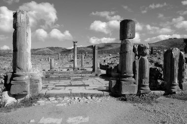 Fas 'taki Volubilis Arkeolojik Alanı siyah beyaz