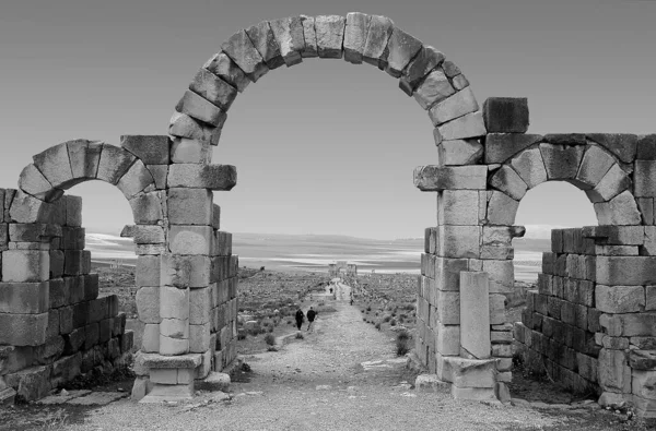 Sítio Arqueológico Volubilis Marrocos Preto Branco — Fotografia de Stock